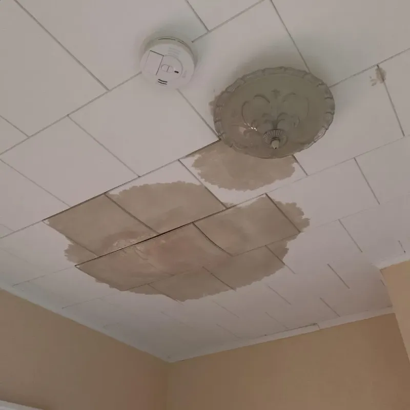 Ceiling Water Damage Repair in Fearrington Village, NC