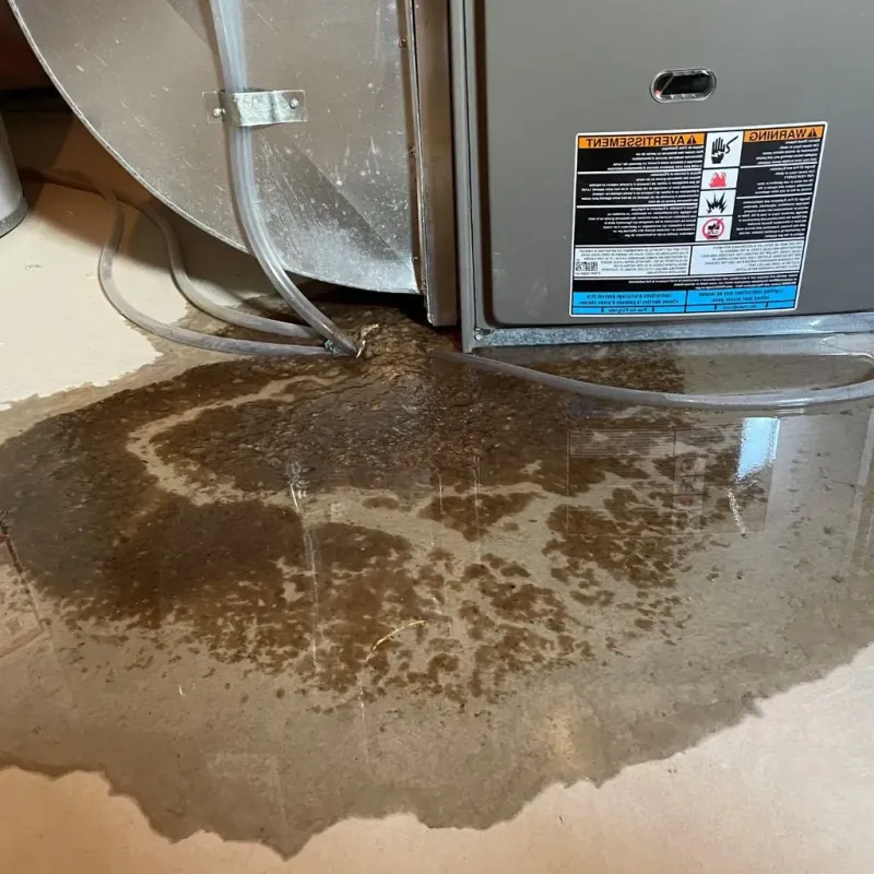 Pipe Burst and Leak Restoration in Fearrington Village, NC